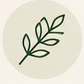 Delicate leaf line illustration